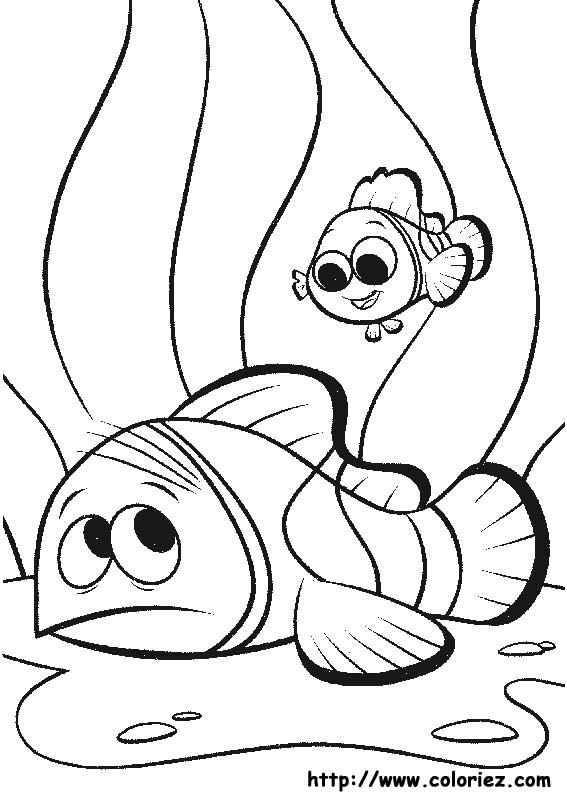 Finding Nemo coloring picture